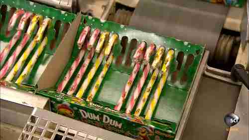 糖果加工：拐杖糖