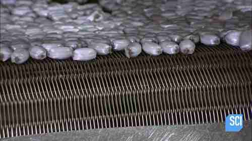 糖果加工：巧克力薄荷糖