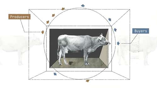 美国牛肉加工业的巨头