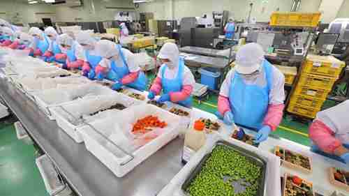 日本火车便当是怎么制作的