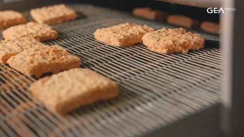 印度方便食品加工厂