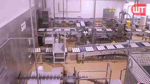 麦当劳汉堡工厂