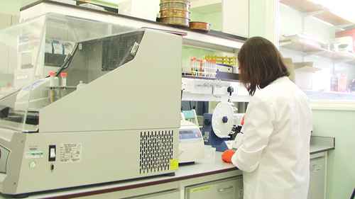 植物基食品的养分释放