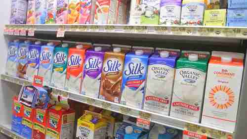 哪种植物奶最好