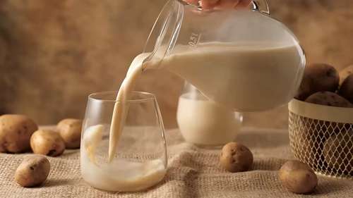 多种植物奶的分析对比