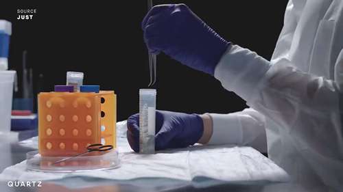 细胞培养肉会成为主流吗