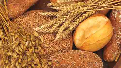 全素健康饮食金字塔