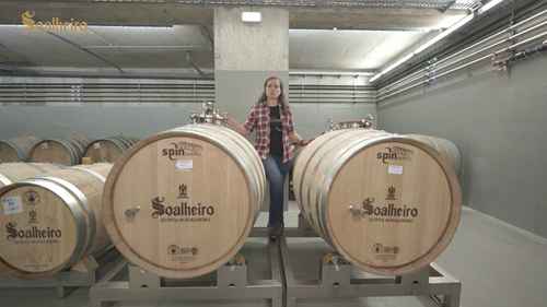 葡萄酒发酵详解