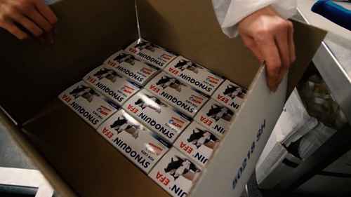 英国宠特宝vetplus