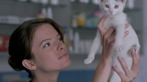 兽用产品的特性 1