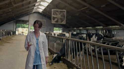 兽用产品的特性 2