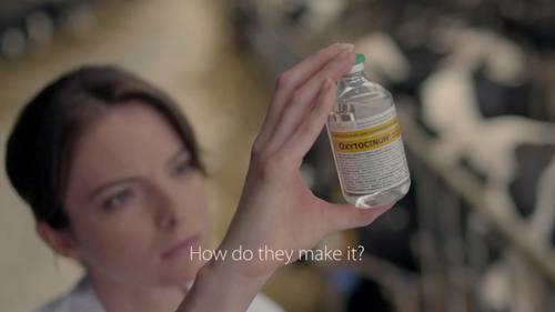 兽用产品的特性 3