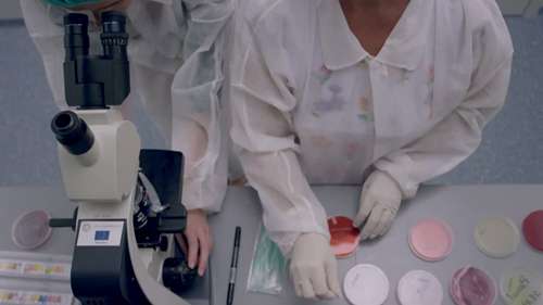 兽药研发与控制