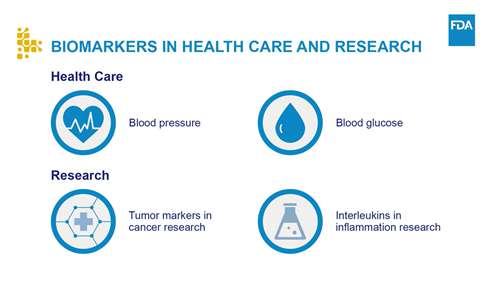 生物标志物如何改善药物研发过程