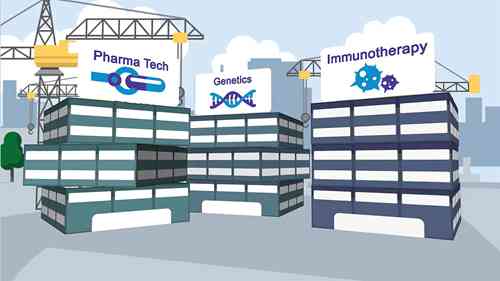 药企的战略实施