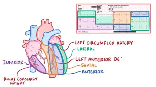 心电图机的原理