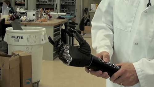 职业介绍：假肢师