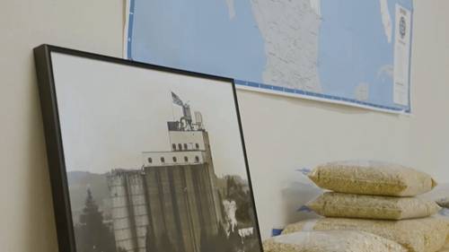 有机燕麦加工商Grain Millers