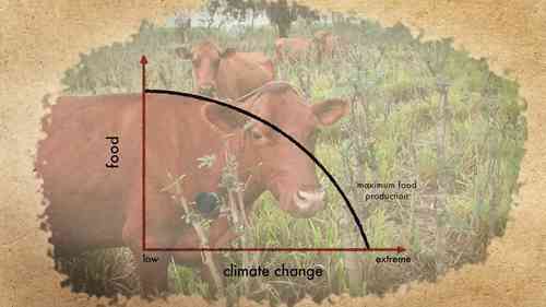 如何养活全球人口