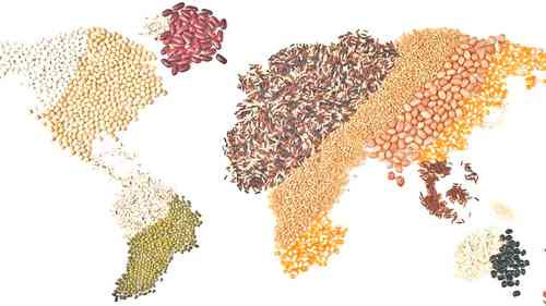 气候变化与粮食安全