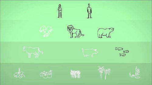 多久以后会断粮 01