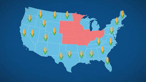 粮食市场概况：玉米