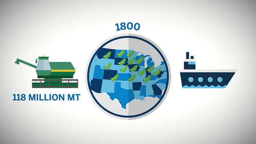 粮食市场概况：大豆