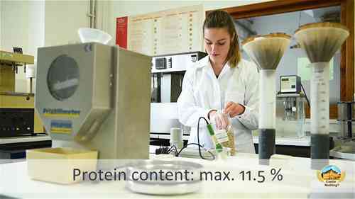 粮食运输与质检