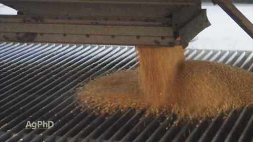 快速了解粮仓安全