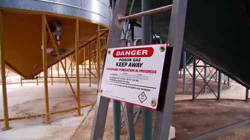 油籽和豆类储存