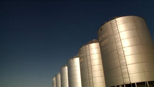 粮食的通风干燥