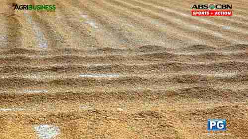 粮食储存在菲律宾的重要性