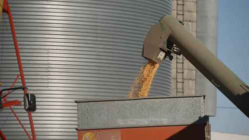 玉蜀黍的储存建议