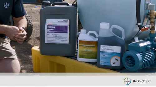 凯安保杀虫剂：储粮品质的保障