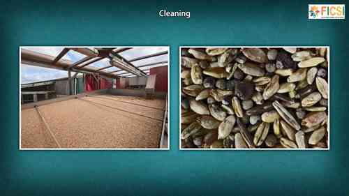 粮食的加工与贮藏