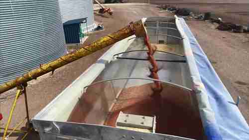 粮食储存的关键 02 收获前准备储粮设施