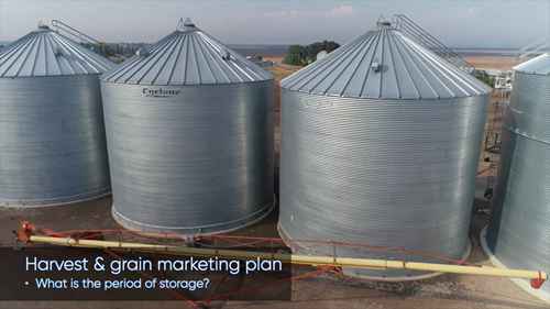 谷物储存的关键因素