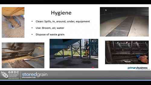 储存卫生和结构优化