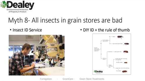 粮食贮藏：害虫管理
