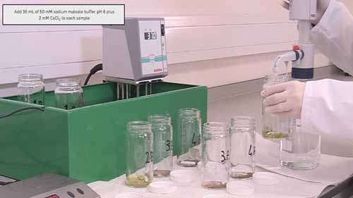 快速全组分总膳食纤维检测