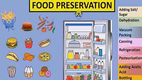食品保藏