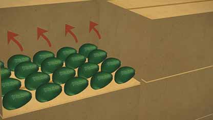 StarCool气调贮藏