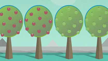 苹果的采摘与储运