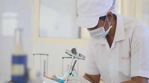 海鲜加工及出口商