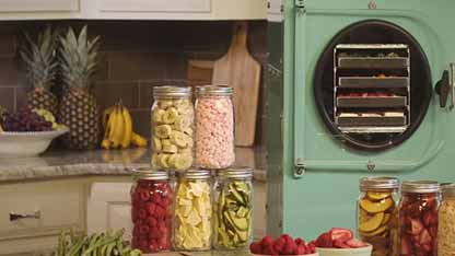 冻干、罐装与脱水