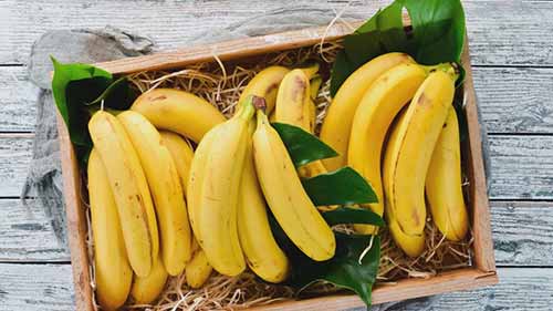 如何解决冷链挑战