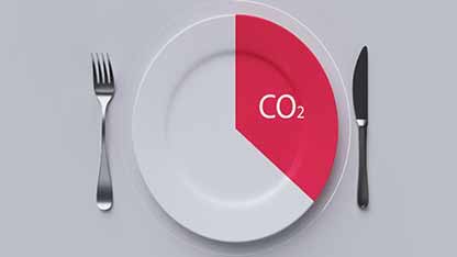 减少浪费的食品包装