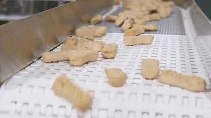 Dorner食品输送机