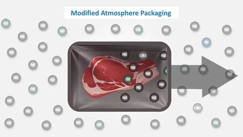 气调保鲜包装技术
