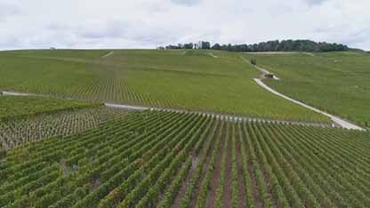 什么是葡萄酒产区